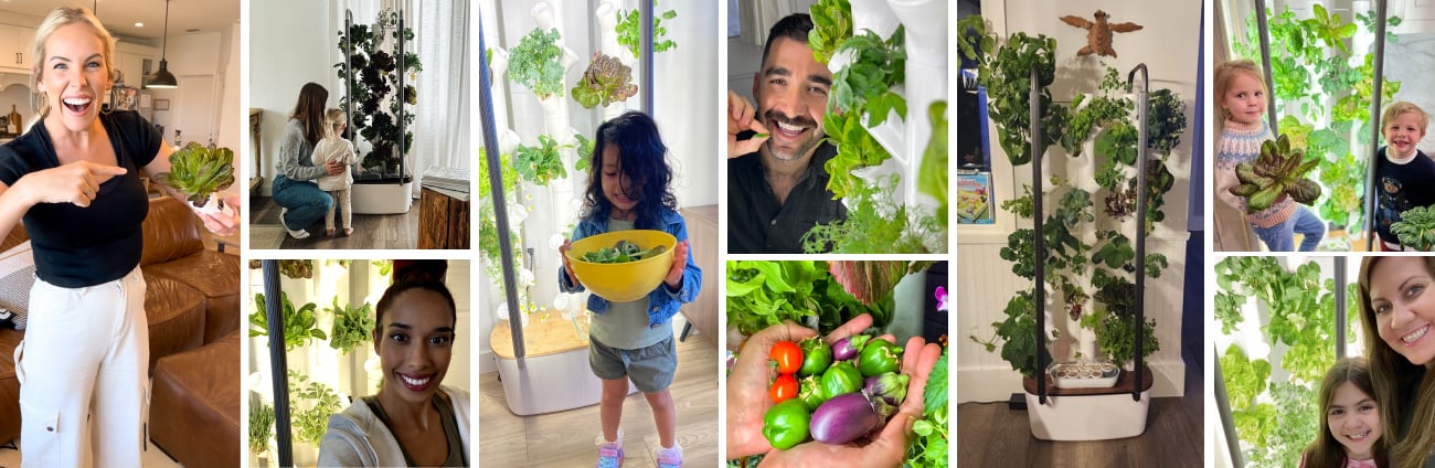 Collage of images. Customers with their Gardyns and produce.