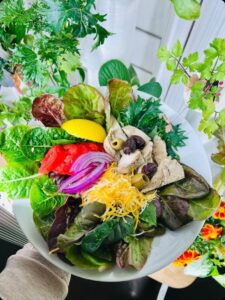 hand holding plated salad