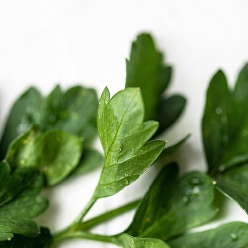 Italian Parsley