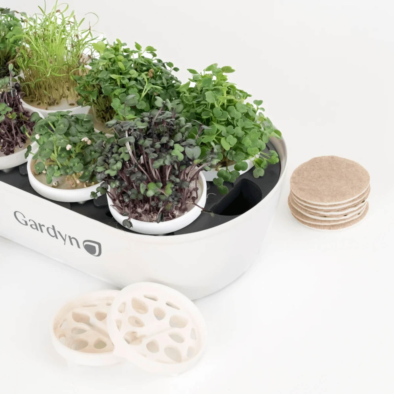 Microgreens Complete Kit (includes Sprout Nursery)