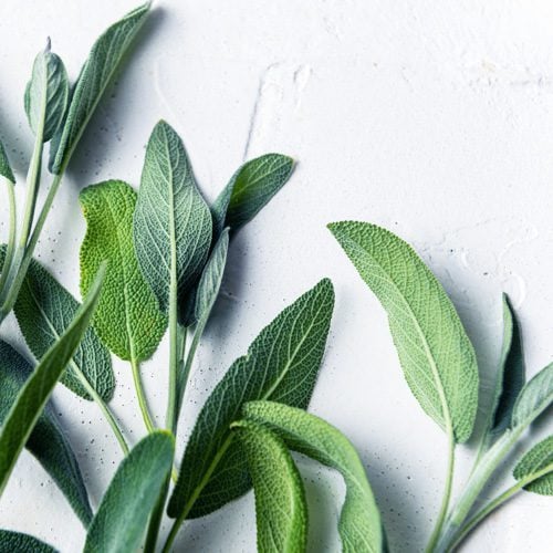 Sage