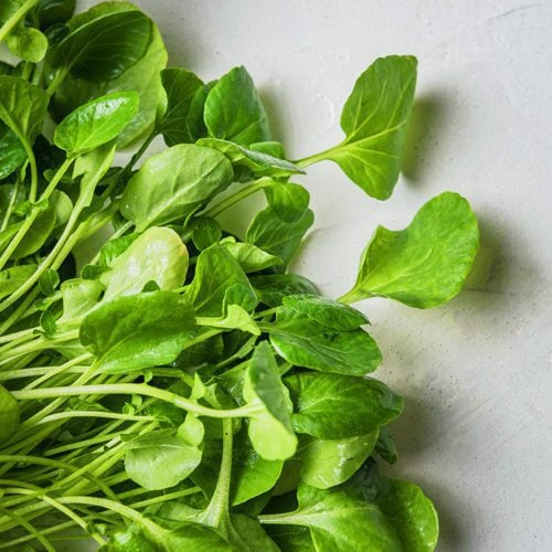 Watercress
